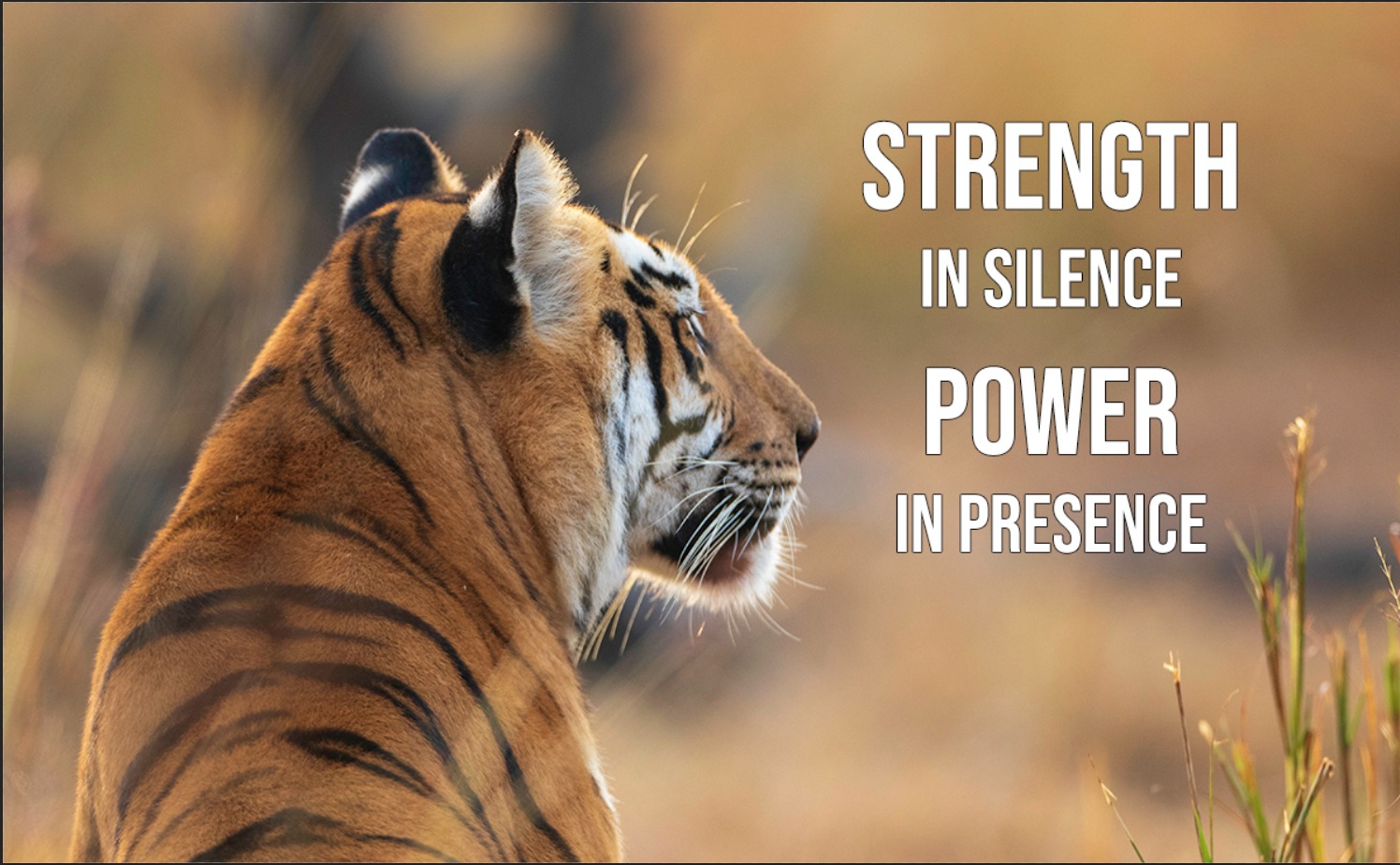 A village meeting discussing conservation efforts