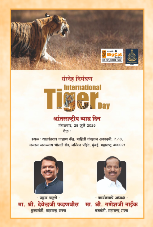 Event Invitation Poster